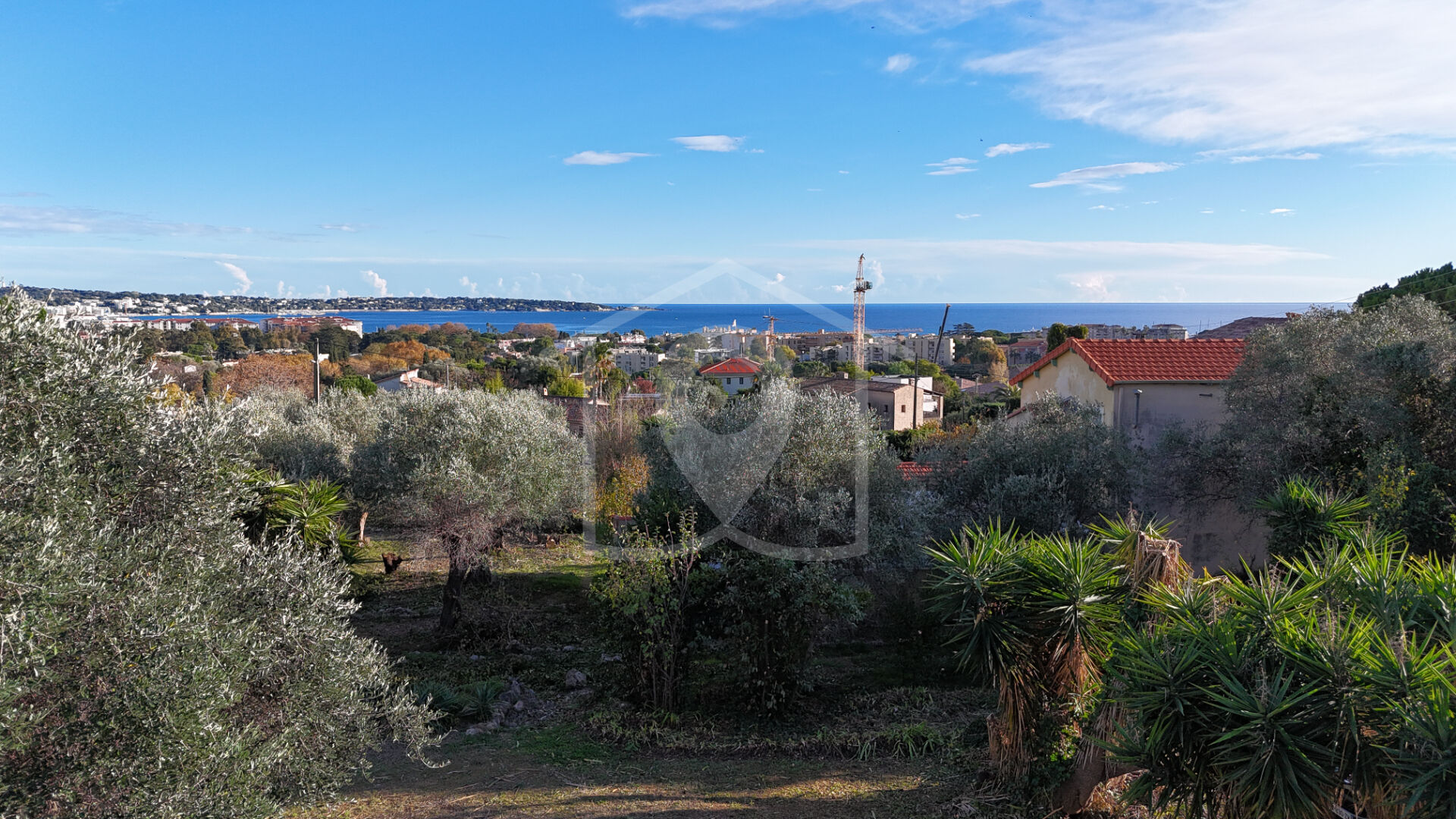 Vallauris Pertuades – Terrain constructible – 3000 m² – Sud – Vue mer